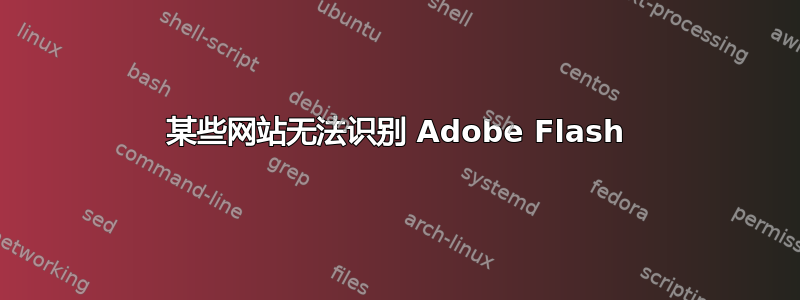 某些网站无法识别 Adob​​e Flash