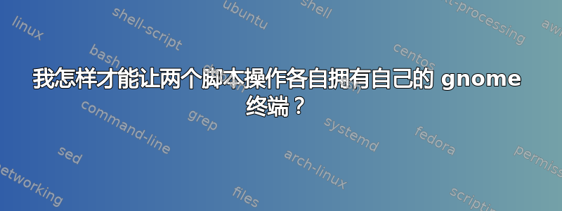 我怎样才能让两个脚本操作各自拥有自己的 gnome 终端？