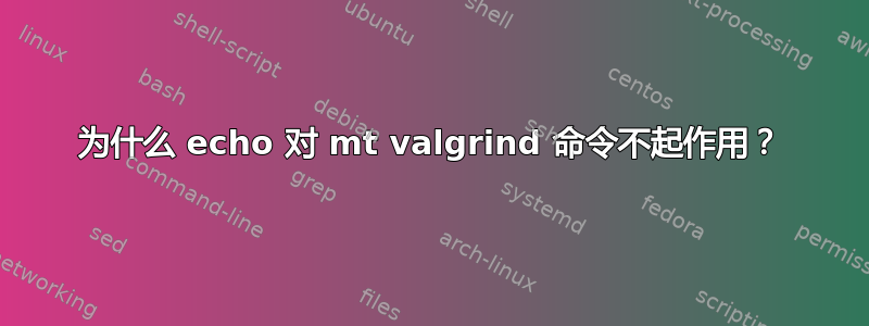 为什么 echo 对 mt valgrind 命令不起作用？