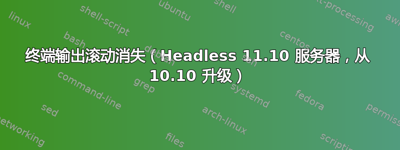 终端输出滚动消失（Headless 11.10 服务器，从 10.10 升级）