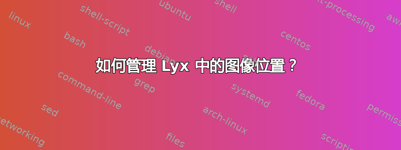 如何管理 Lyx 中的图像位置？