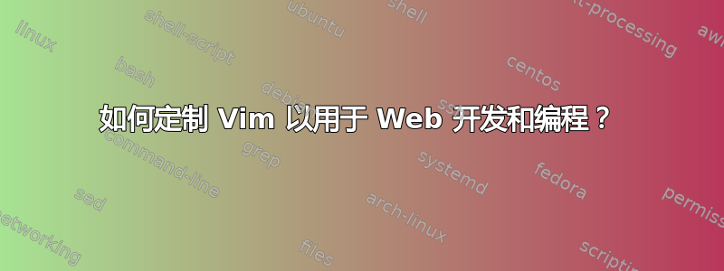 如何定制 Vim 以用于 Web 开发和编程？