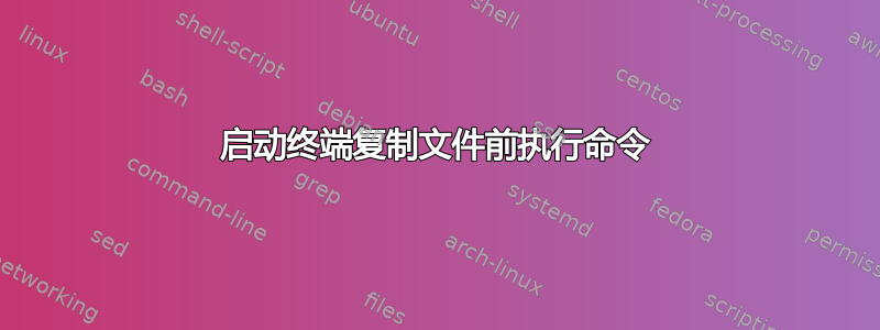 启动终端复制文件前执行命令