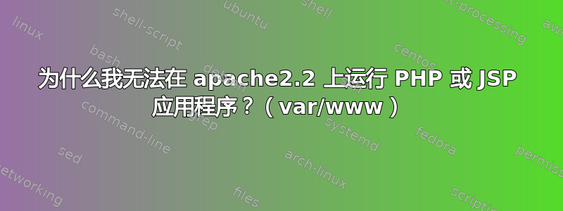 为什么我无法在 apache2.2 上运行 PHP 或 JSP 应用程序？（var/www）