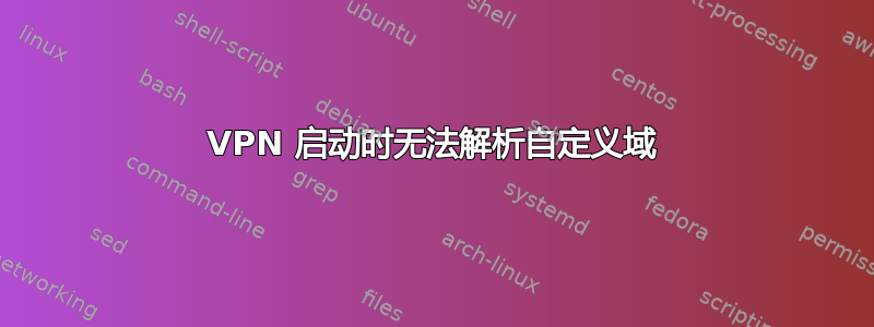 VPN 启动时无法解析自定义域