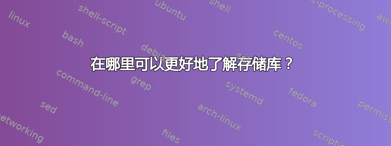 在哪里可以更好地了解存储库？