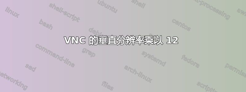 VNC 的垂直分辨率乘以 12