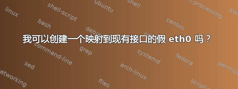 我可以创建一个映射到现有接口的假 eth0 吗？