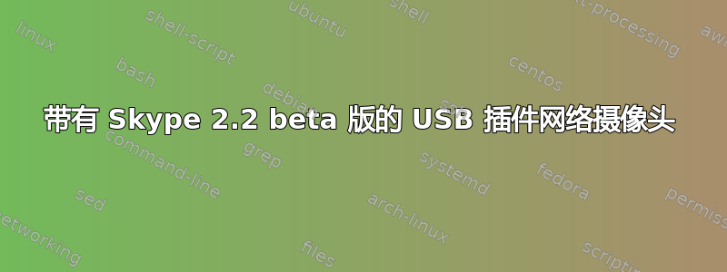 带有 Skype 2.2 beta 版的 USB 插件网络摄像头