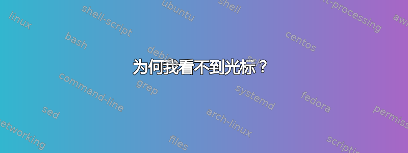 为何我看不到光标？