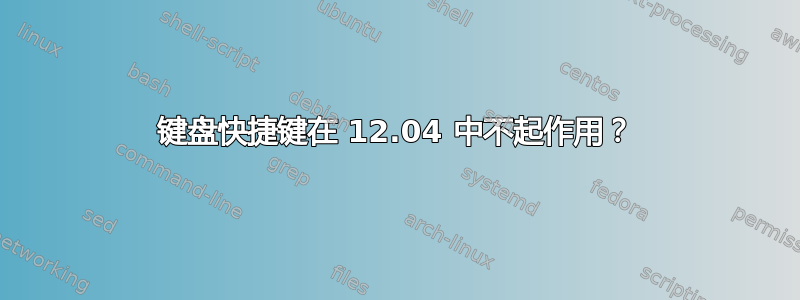 键盘快捷键在 12.04 中不起作用？