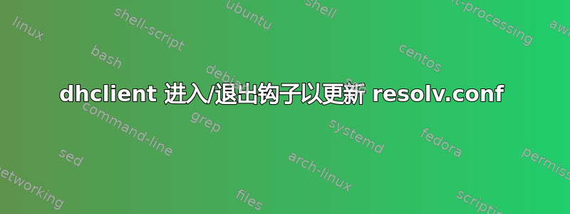 dhclient 进入/退出钩子以更新 resolv.conf