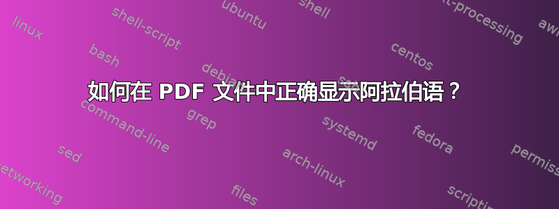 如何在 PDF 文件中正确显示阿拉伯语？