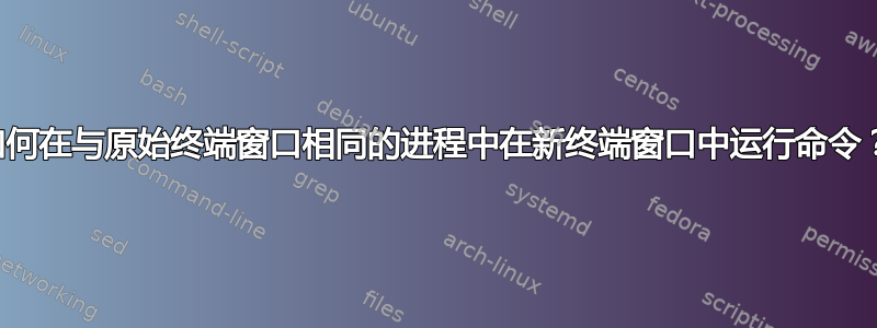 如何在与原始终端窗口相同的进程中在新终端窗口中运行命令？