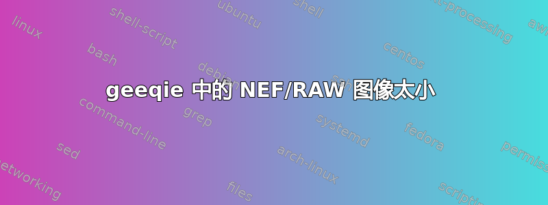 geeqie 中的 NEF/RAW 图像太小