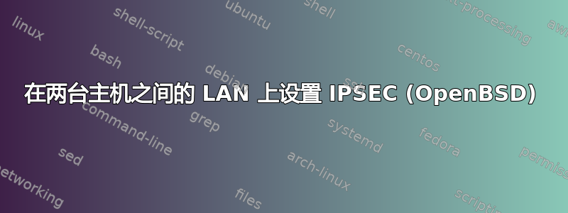 在两台主机之间的 LAN 上设置 IPSEC (OpenBSD)