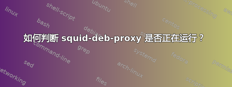 如何判断 squid-deb-proxy 是否正在运行？