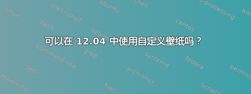 可以在 12.04 中使用自定义壁纸吗？