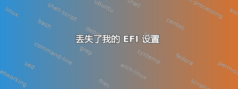 丢失了我的 EFI 设置