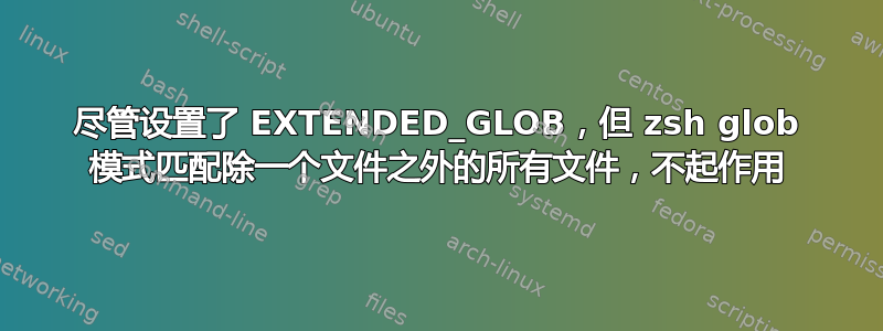 尽管设置了 EXTENDED_GLOB，但 zsh glob 模式匹配除一个文件之外的所有文件，不起作用