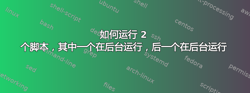 如何运行 2 个脚本，其中一个在后台运行，后一个在后台运行