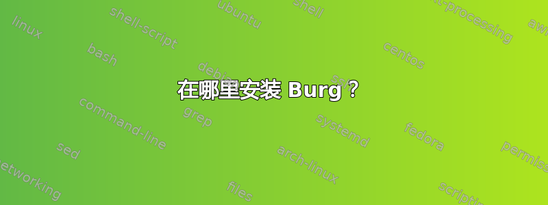 在哪里安装 Burg？