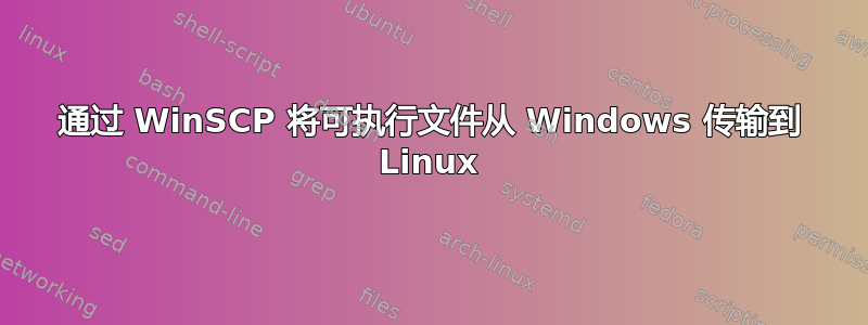 通过 WinSCP 将可执行文件从 Windows 传输到 Linux