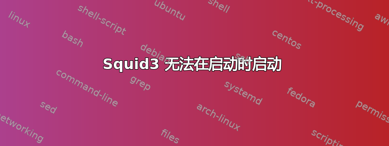 Squid3 无法在启动时启动