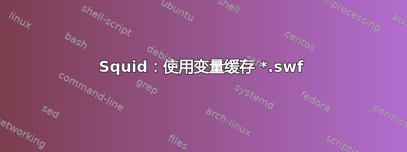 Squid：使用变量缓存 *.swf