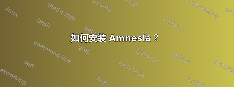 如何安装 Amnesia？