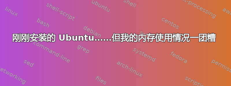 刚刚安装的 Ubuntu……但我的内存使用情况一团糟