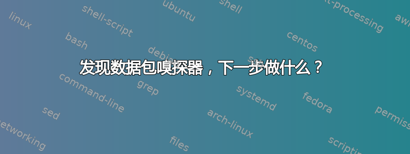 发现数据包嗅探器，下一步做什么？