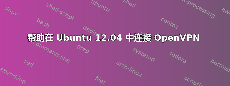 帮助在 Ubuntu 12.04 中连接 OpenVPN