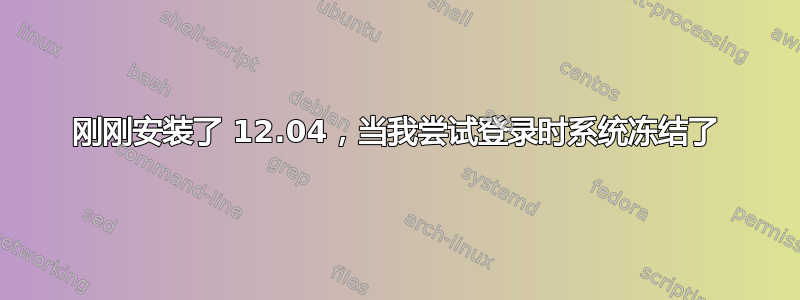 刚刚安装了 12.04，当我尝试登录时系统冻结了