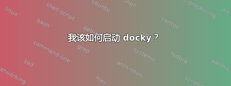 我该如何启动 docky？