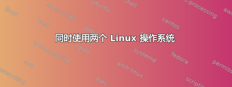 同时使用两个 Linux 操作系统