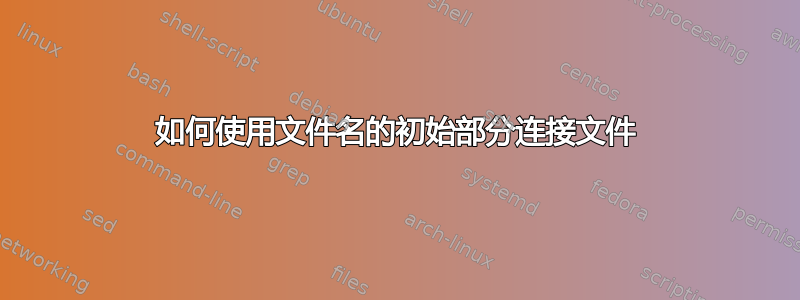 如何使用文件名的初始部分连接文件