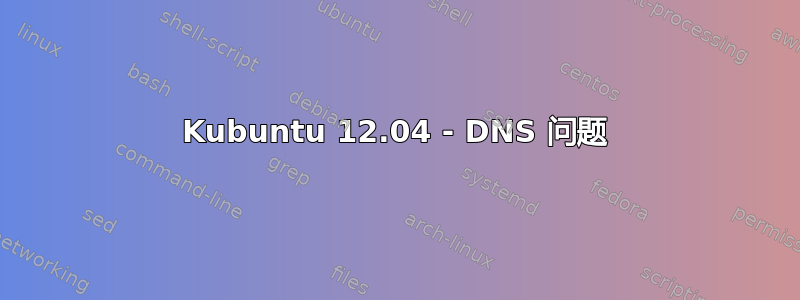 Kubuntu 12.04 - DNS 问题