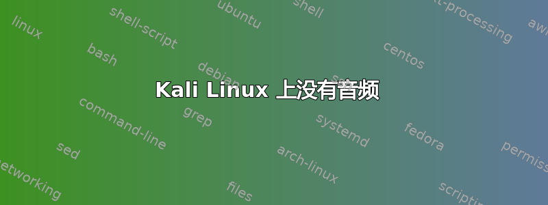 Kali Linux 上没有音频 