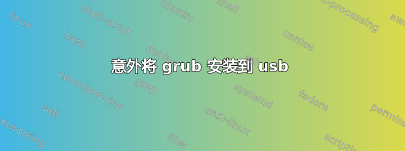 意外将 grub 安装到 usb