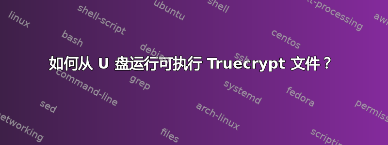 如何从 U 盘运行可执行 Truecrypt 文件？