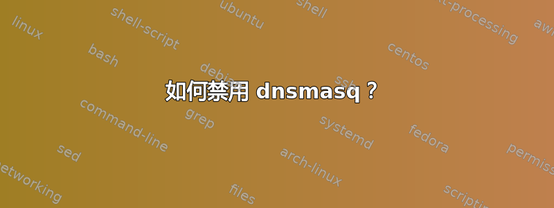 如何禁用 dnsmasq？