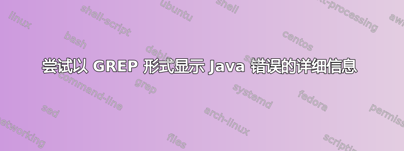 尝试以 GREP 形式显示 Java 错误的详细信息