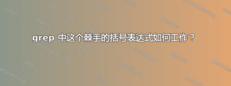 grep 中这个棘手的括号表达式如何工作？