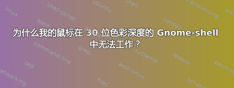 为什么我的鼠标在 30 位色彩深度的 Gnome-shell 中无法工作？