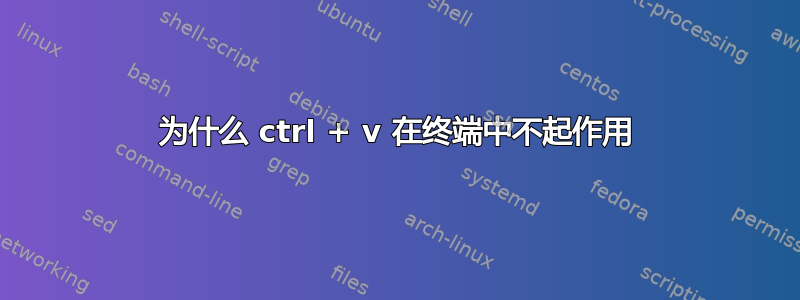 为什么 ctrl + v 在终端中不起作用