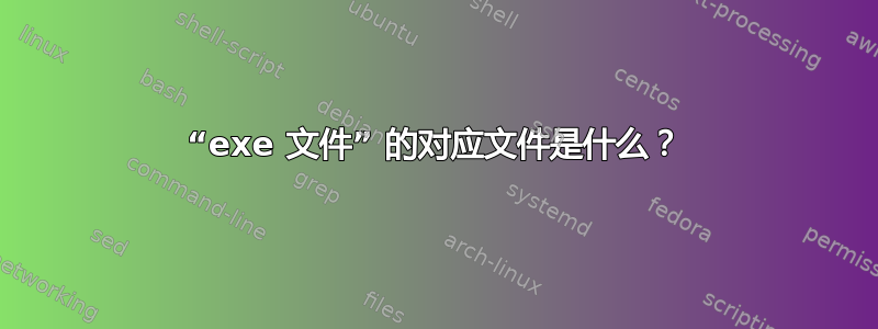 “exe 文件” 的对应文件是什么？