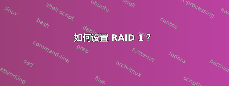 如何设置 RAID 1？