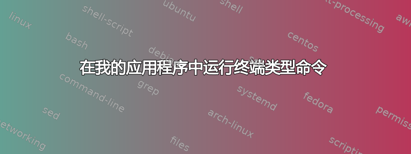 在我的应用程序中运行终端类型命令