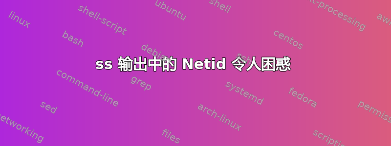 ss 输出中的 Netid 令人困惑